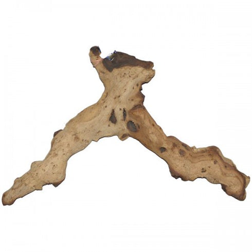 Radacina Mopani XL